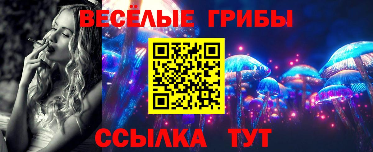 закладки  Галлюциногенные грибы GOLDEN TEACHER  Вход с VPN  Туймазы  Галлюциногенные грибы мицелий 